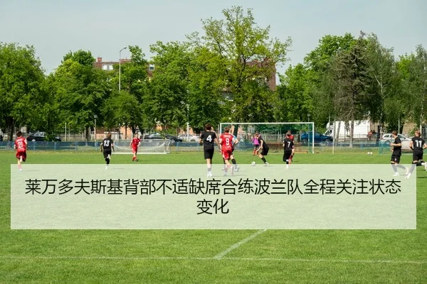 莱万多夫斯基背部不适缺席合练波兰队全程关注状态变化
